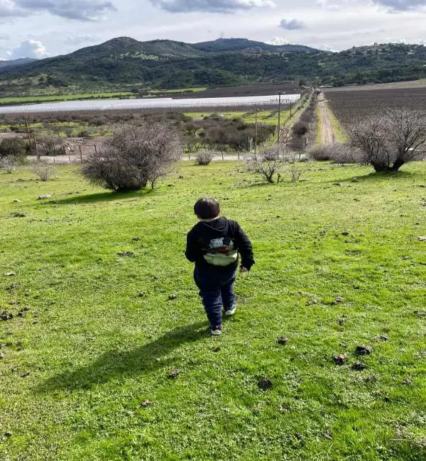 03 Corretaje Camino El Portezuelo,ligrilla, Chepica